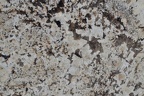 AFRICAN RAINBOW 3P534319CL 131X60