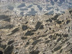 SCHIST SLABS